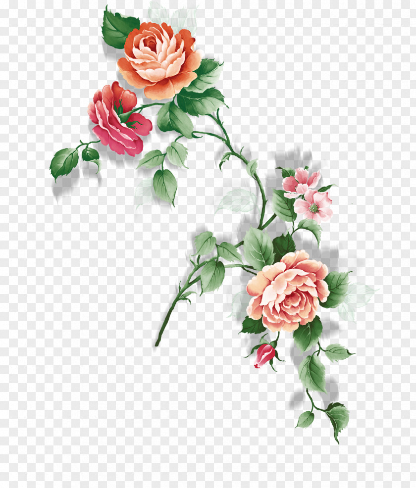 Watercolor Flowers Garden Roses Rosa Chinensis Centifolia Flower PNG