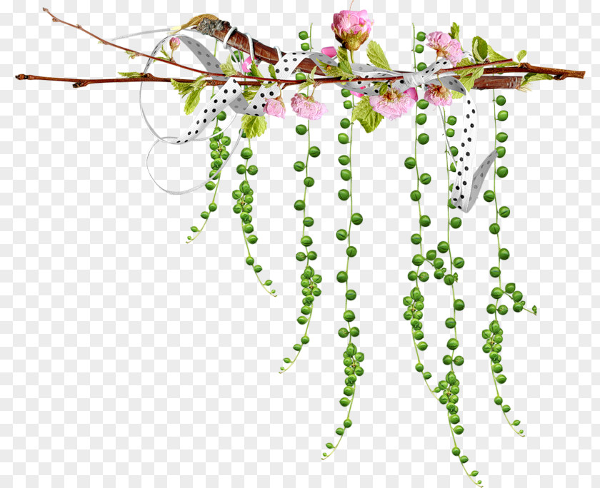 Branch Plant Flower Twig PNG