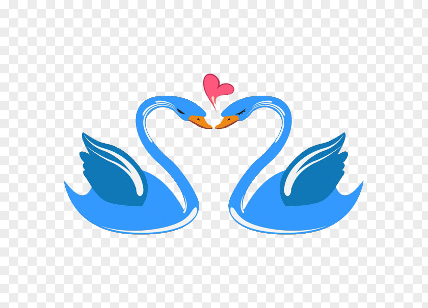 Cartoon Couple Swan Cygnini Bird Love Marriage Illustration PNG