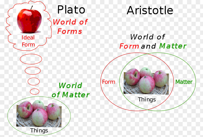 Chiswick On The Soul Phaedo Hylomorphism Aristotle's Theory Of Universals Forms PNG