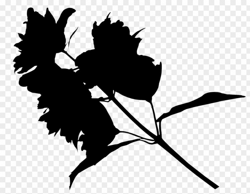 Twig Clip Art Plant Stem Flower Leaf PNG