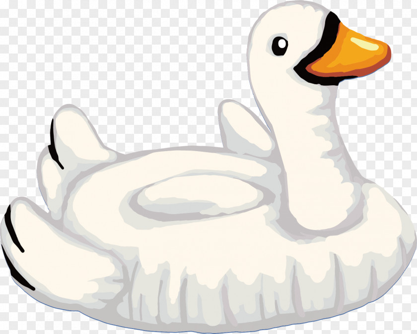 Vector Swan Duck Cygnini Goose Clip Art PNG