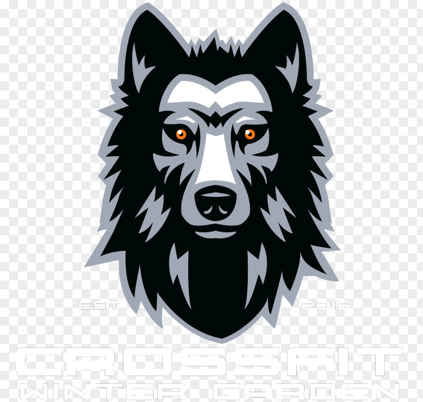CrossFit Winter Garden Gray Wolf Drawing PNG