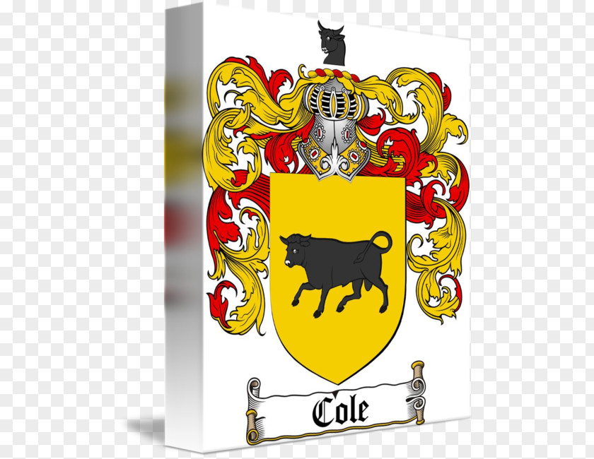 Family Coat Of Arms Crest Heraldry Irish People PNG
