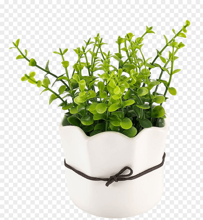 Flowerpot Magnetic Levitating Floating Plant Pot Hook Garden Plants PNG