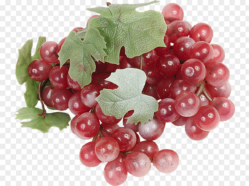 Grape Zante Currant Fruit Berry PNG