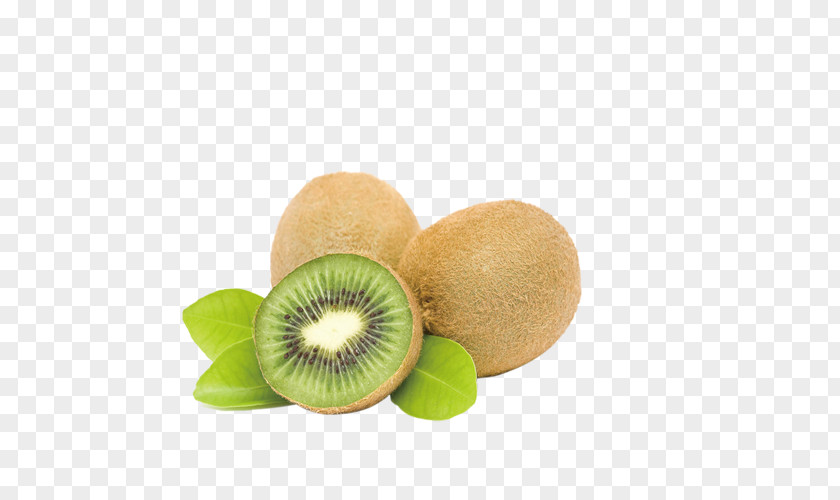 Kiwi Kiwifruit Eating Food Pineapple PNG