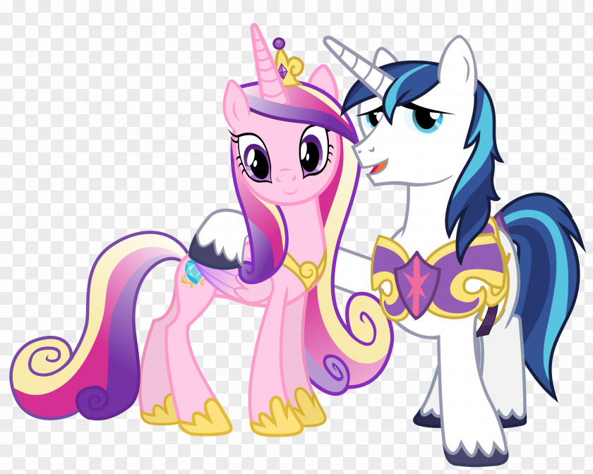 Princess Cadance Twilight Sparkle Shining Armor Pony Winged Unicorn PNG