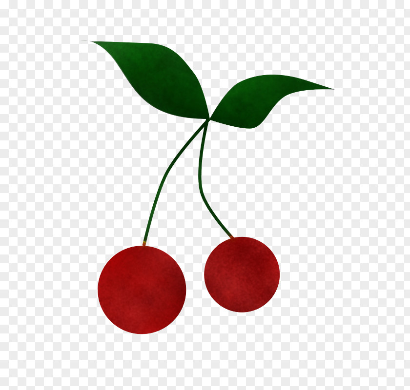 Cherry Red Leaf Plant Fruit PNG