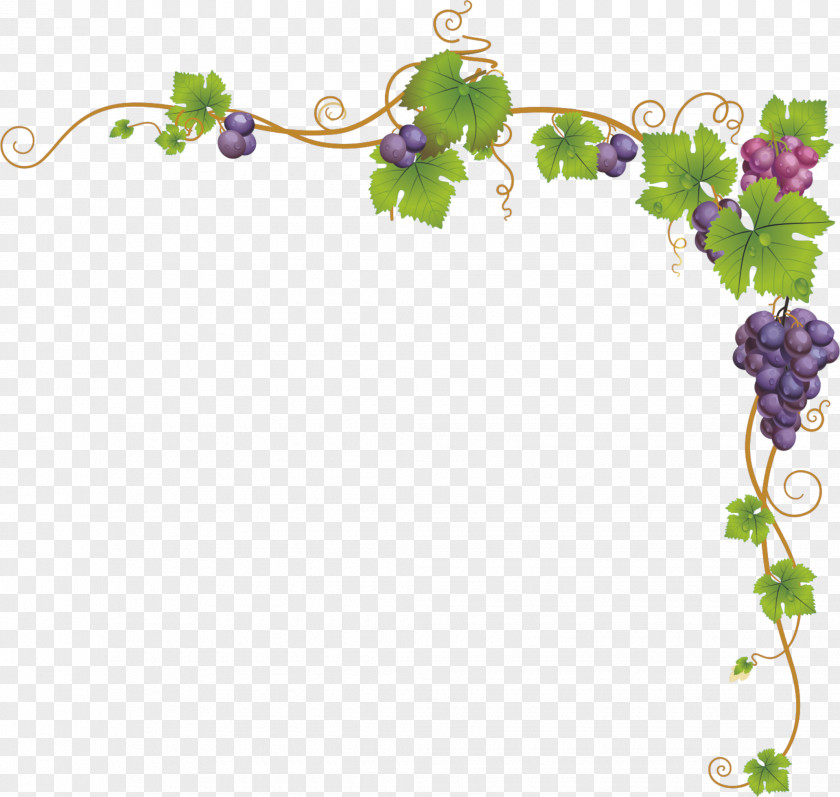 Grape,Dendrite,Vines,frame,Frame,lace Church Service Child Dendrite PNG