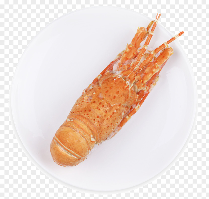 Imported Lobster American Palinurus Shrimp Seafood PNG
