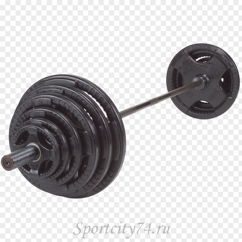 Barbell Weight Plate Bench Training Human Body PNG
