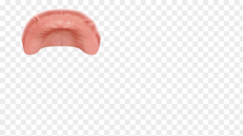 Design Human Mouth PNG