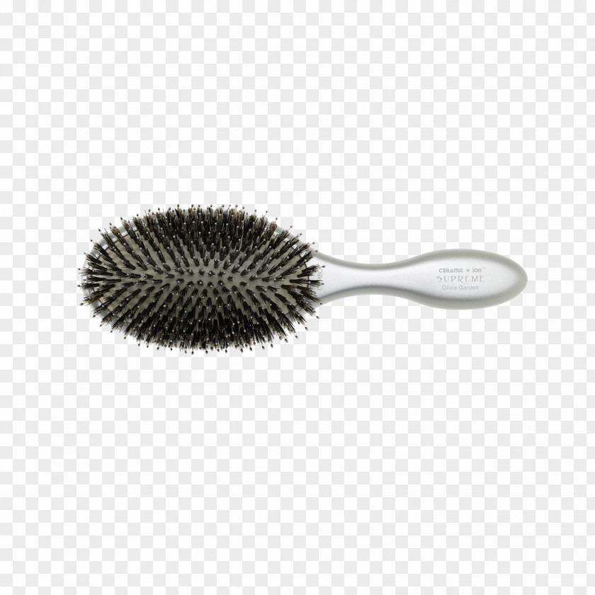 Hair Hairbrush Comb Bristle PNG