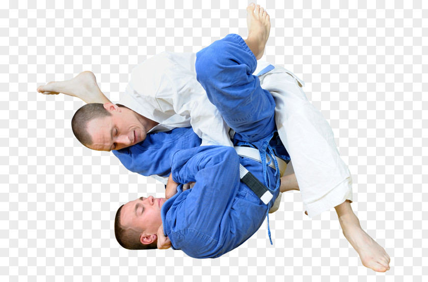 Mixed Martial Arts Brazilian Jiu-jitsu Grappling Jujutsu PNG