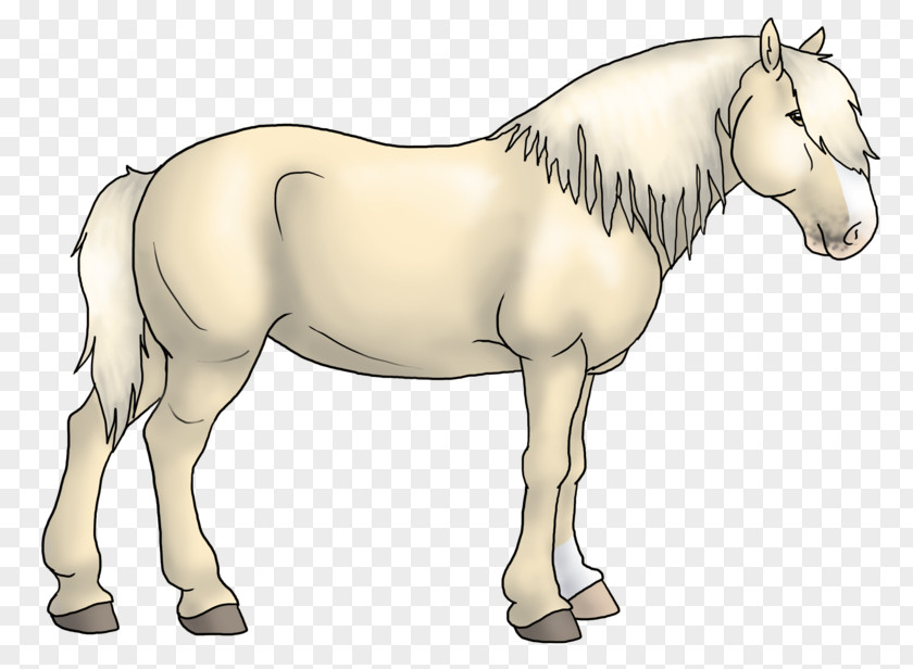 Mustang Mane Foal Stallion Mare Colt PNG