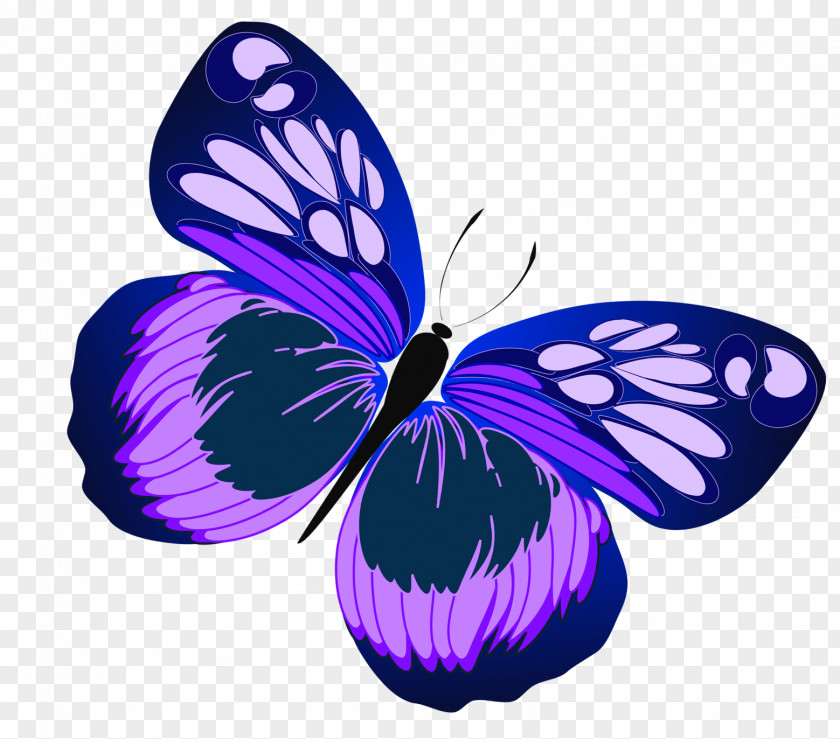 Purple Sunflower Cliparts Butterfly Free Content Clip Art PNG