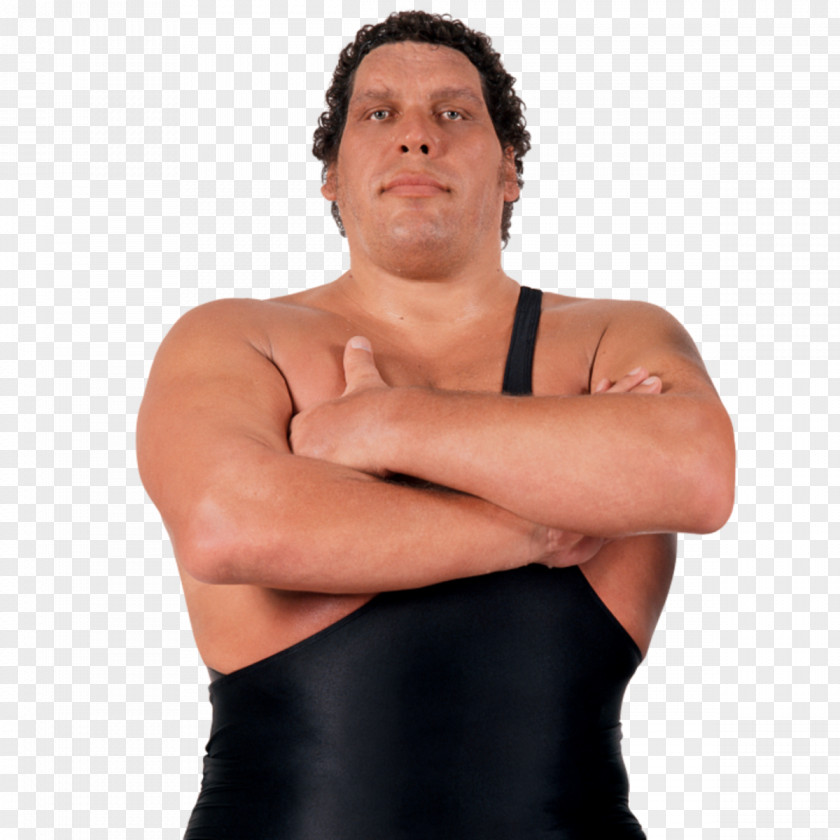 André The Giant Memorial Battle Royal Professional Wrestler WWE Wrestling PNG the wrestling, wwe clipart PNG
