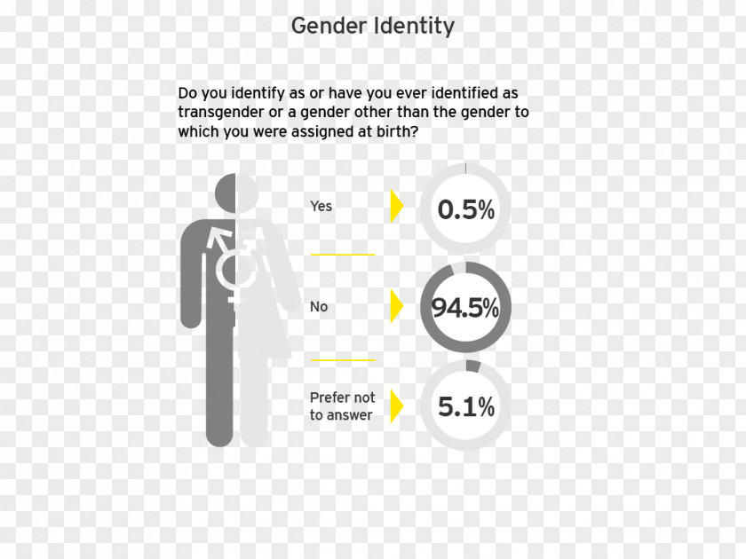 Gender Identity Ernst & Young Role Diversity PNG