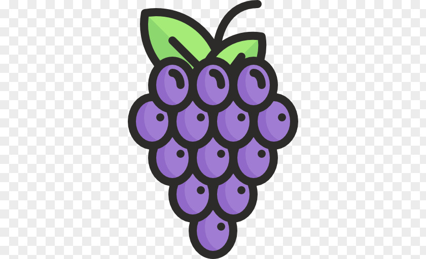 Grape Photography Icon PNG
