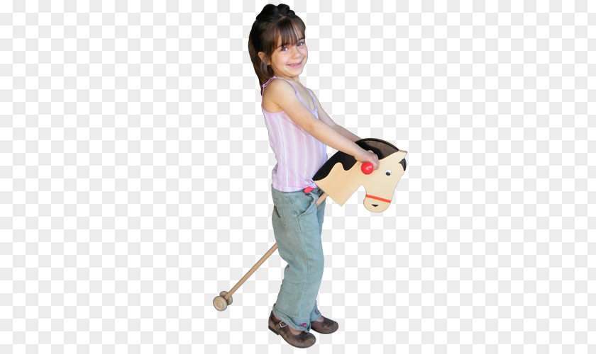 Horse Hobby Toy Rocking Gallop PNG