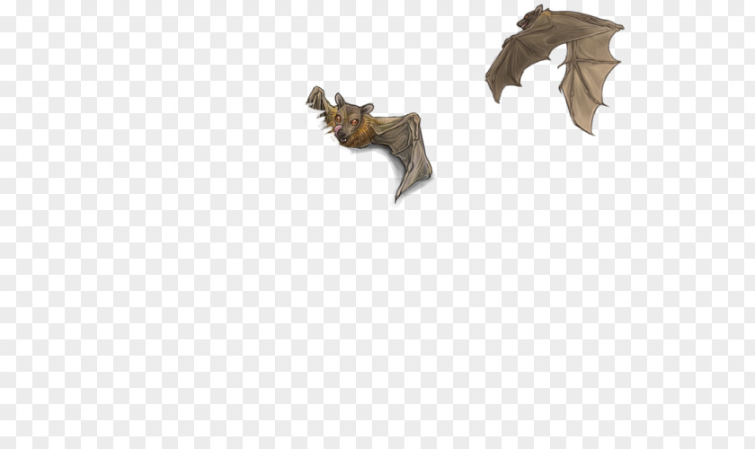 Mega Fruit Bat Drawing BAT-M PNG