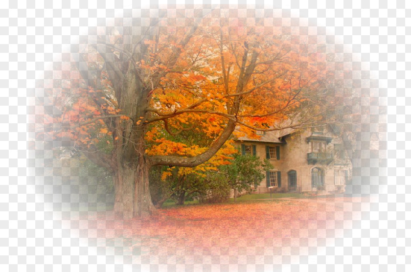 Paysage Norman Rockwell Museum Stockbridge Quebec Photography Autumn PNG