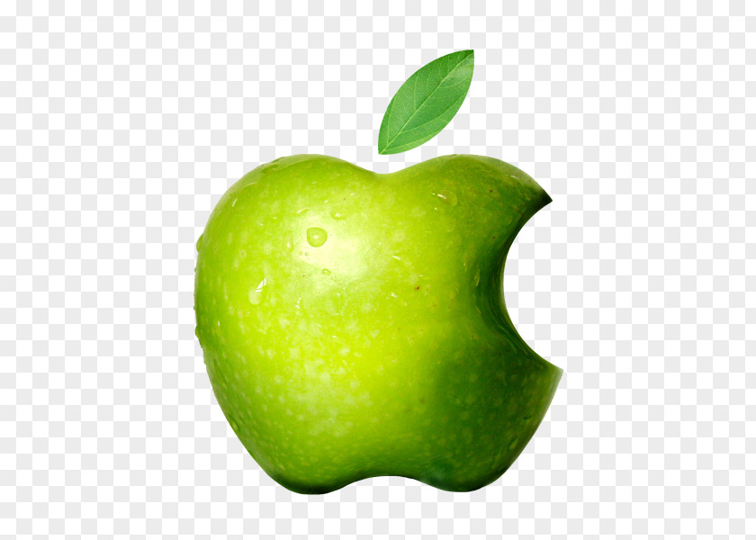 Rainbow Apple Logo Macintosh Image Vector Graphics PNG
