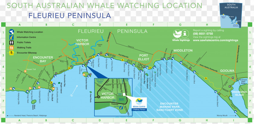 Didcot Railway Centre South Australian Whale Aldinga Map Goolwa Profile Diagram PNG