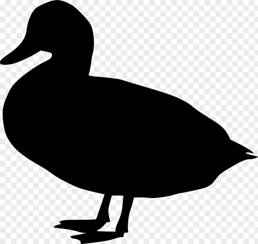 Duck Goose Fowl Neck Clip Art PNG