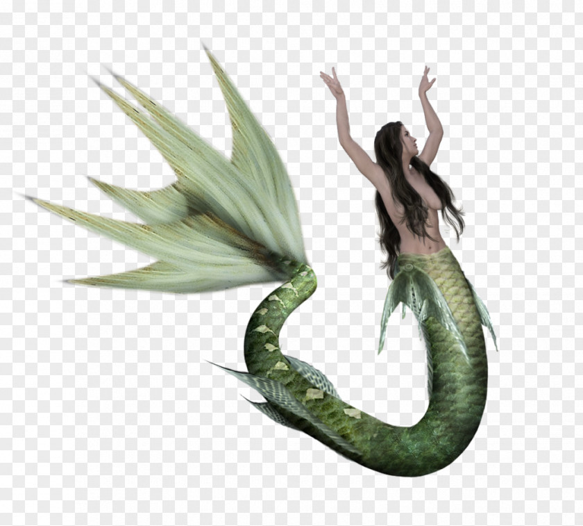 Mermaid Art Organism Figurine Legendary Creature PNG