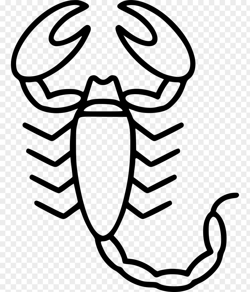 Octopus Oyster Clip Art PNG