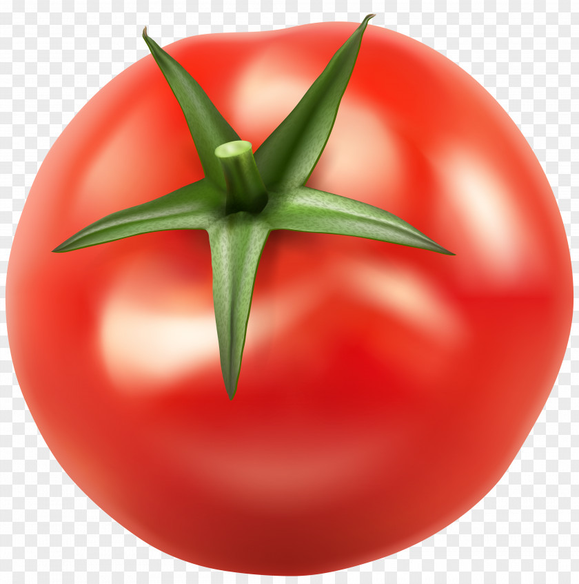 Tomato Vegetable Bush Food Clip Art PNG