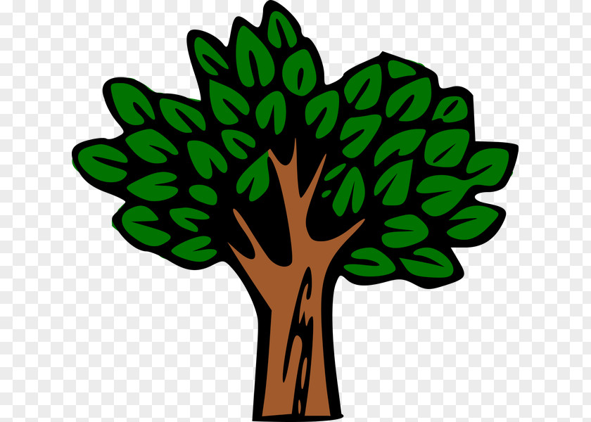 Tree Drawing Clip Art PNG