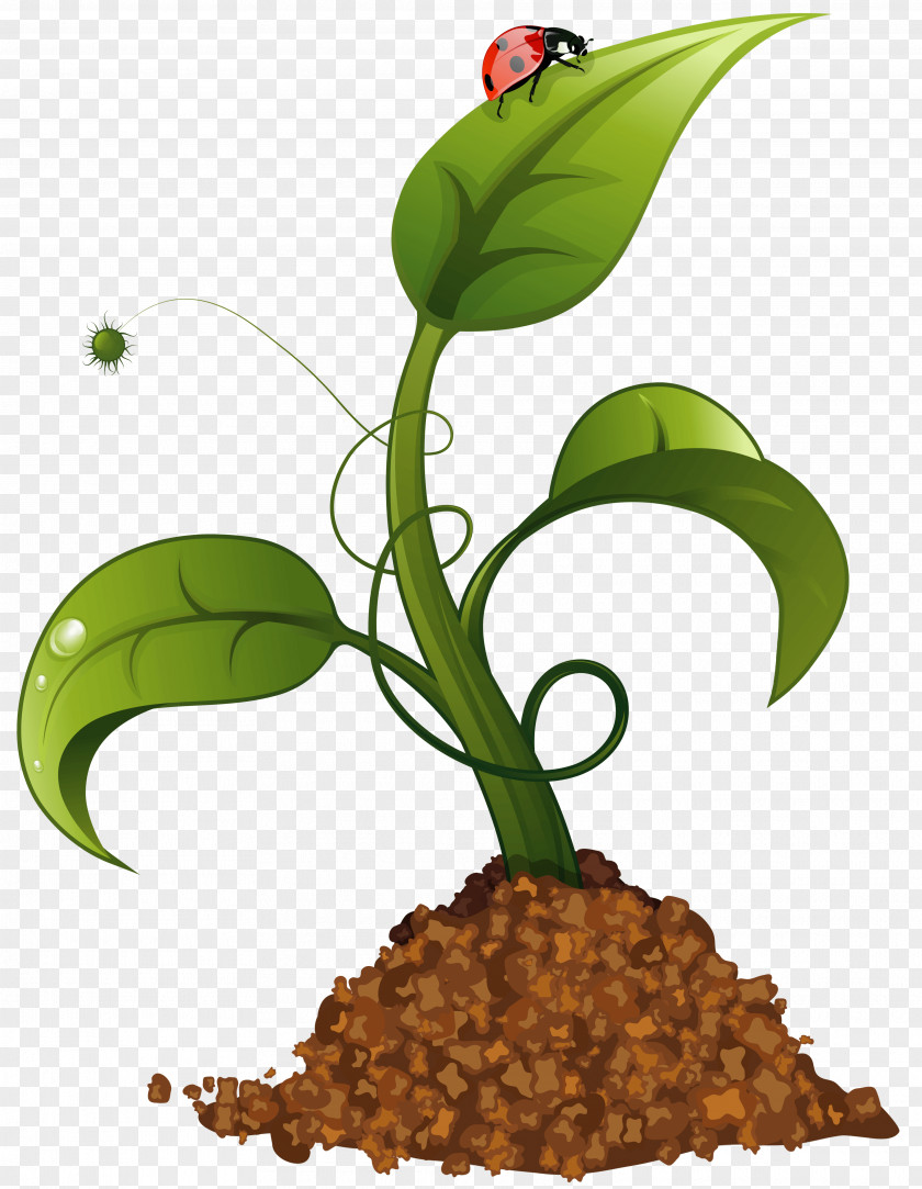 Agriculture Crop Clip Art PNG