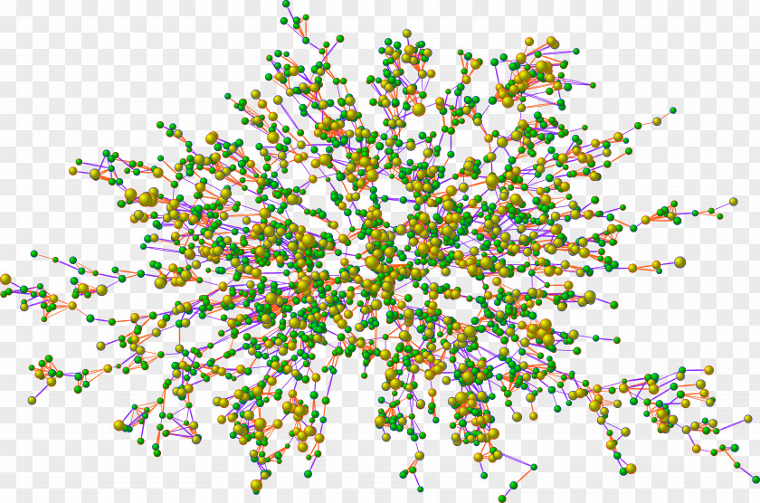 Ecological Health University Of California, San Diego Harvard Medical School Obesity Medicine PNG