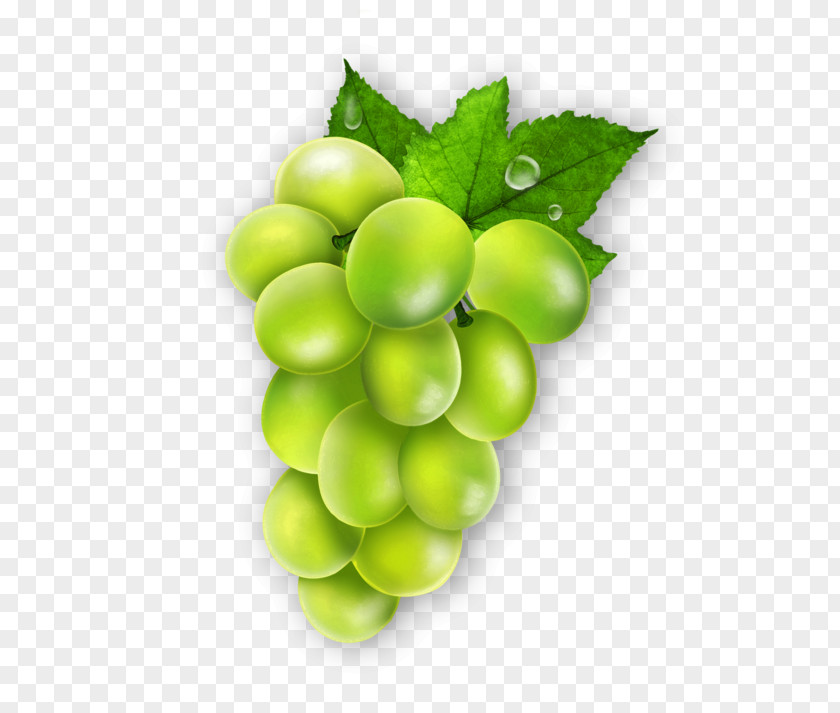 Grape Leaves Seedless Fruit PDF PNG