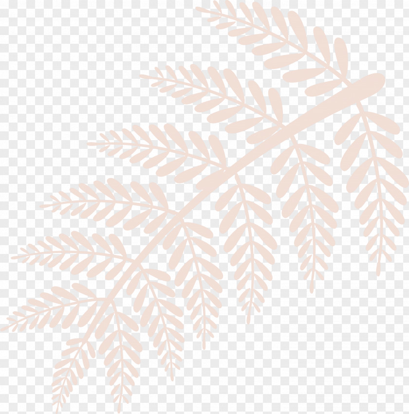 Leaf PNG