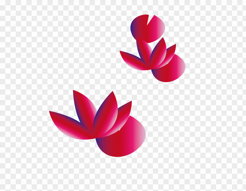 Lotus Creative Designer PNG