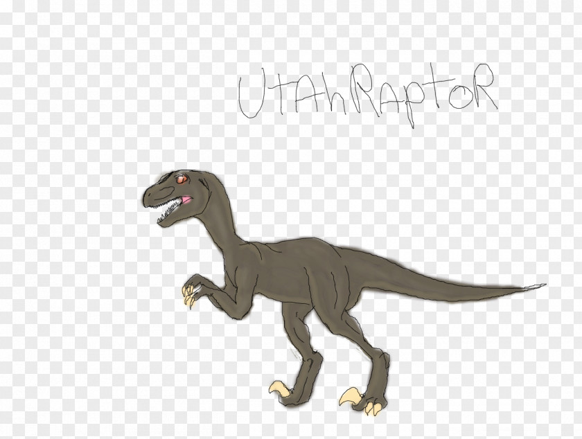 Mosasaurus Megalodon Velociraptor Tyrannosaurus Fauna Animal PNG
