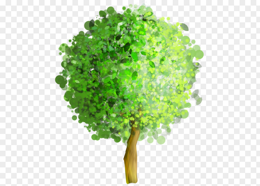 Painting Art Tree Clip PNG