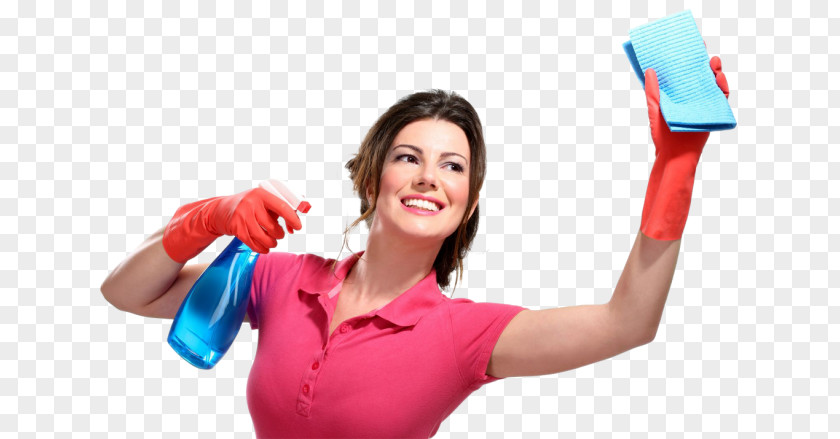 Your House Cleaning Business A Blueprint For Succe Window Cleaner Maid Service PNG
