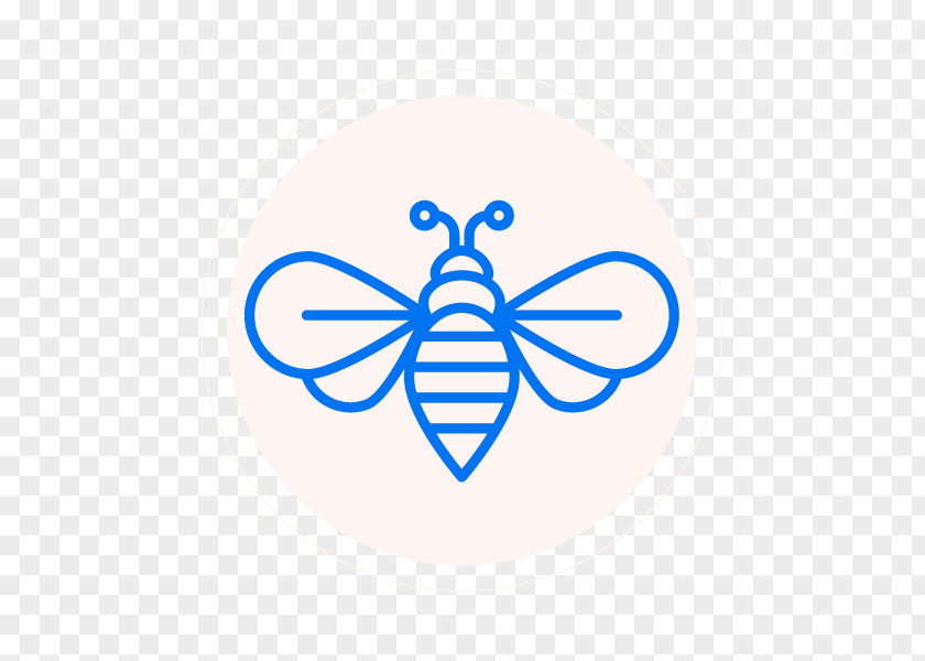 Bee Honey Insect PNG