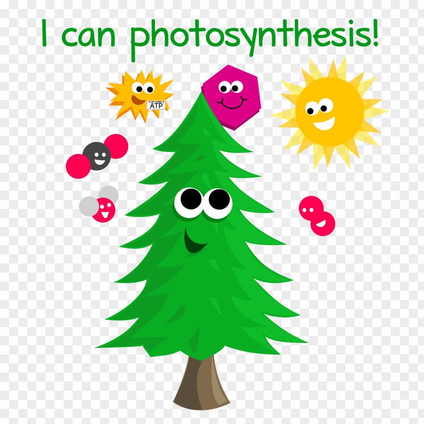 Creative Autotroph Photosynthesis Energy Biology Light PNG