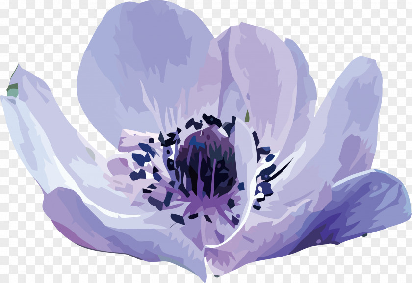 Lavender PNG