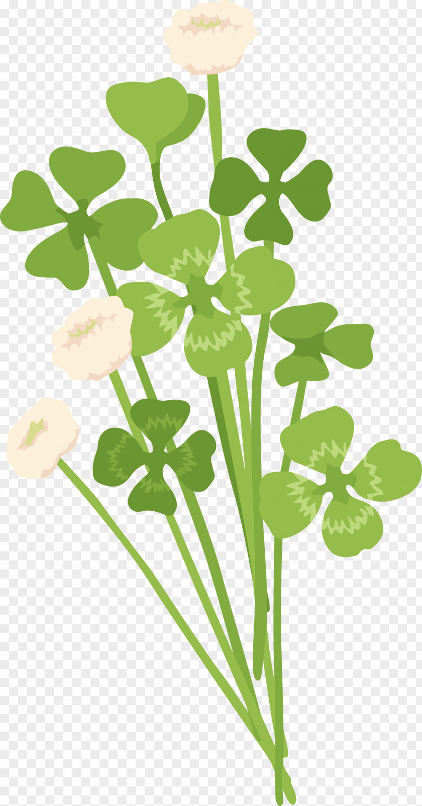 Leaf Flower Plant Stem Pedicel PNG