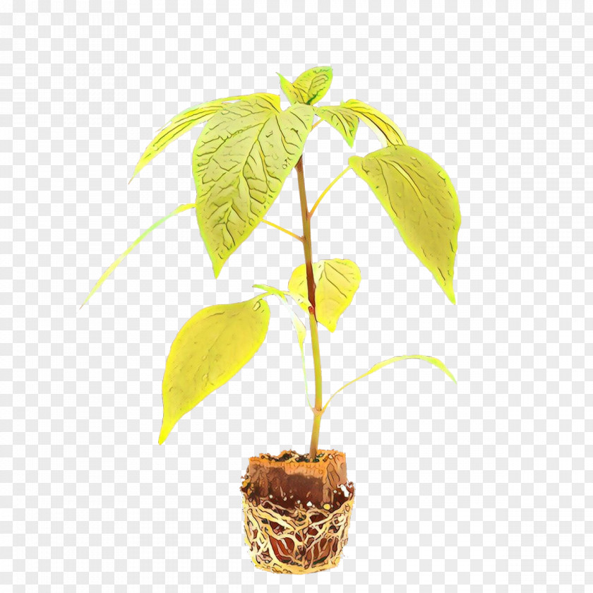 Perennial Plant Stem Tree Background PNG