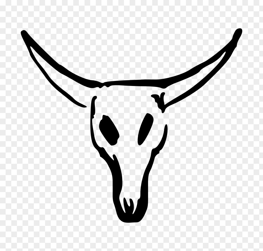 Skull Line Art Texas Longhorn Clip PNG