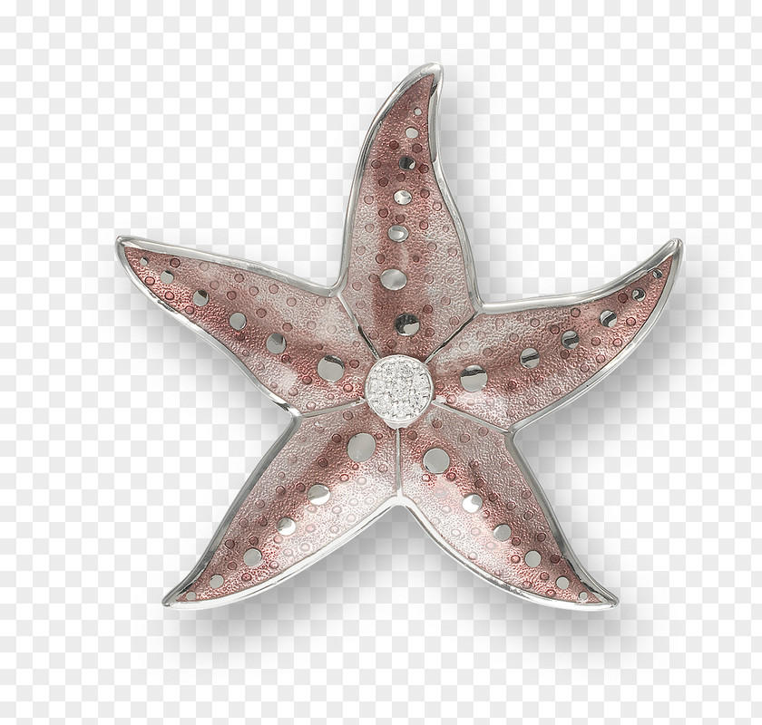 Starfish Story Gifts Brooch Sterling Silver Jewellery Vitreous Enamel PNG