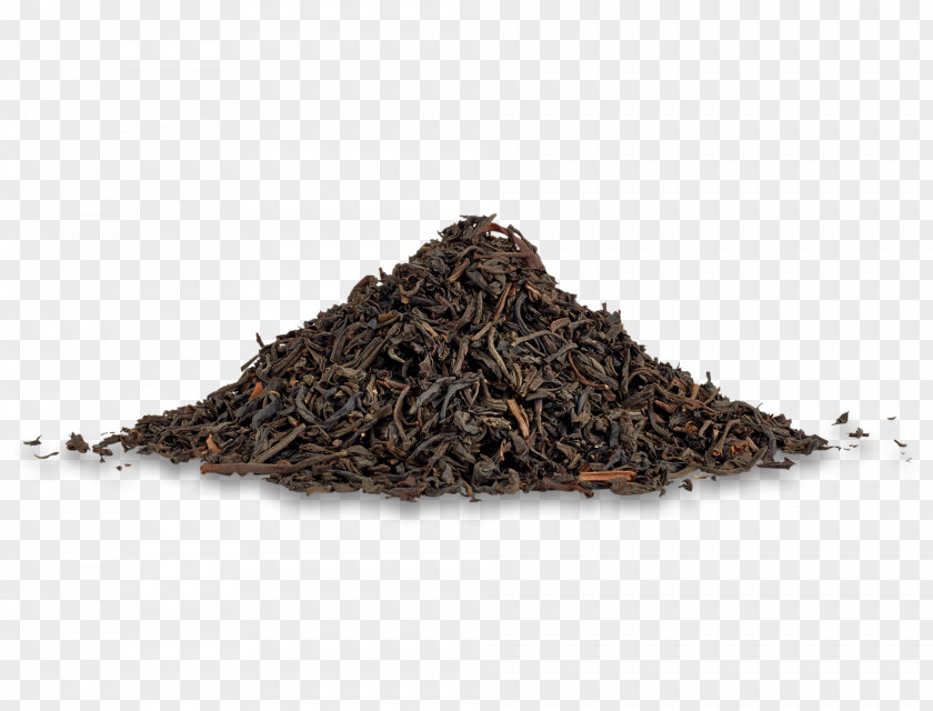 Tea Nilgiri Masala Chai Black Pu'er PNG